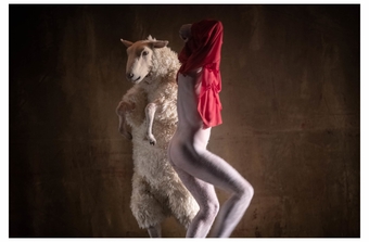 The Sheep Song, parabole de la condition humaine